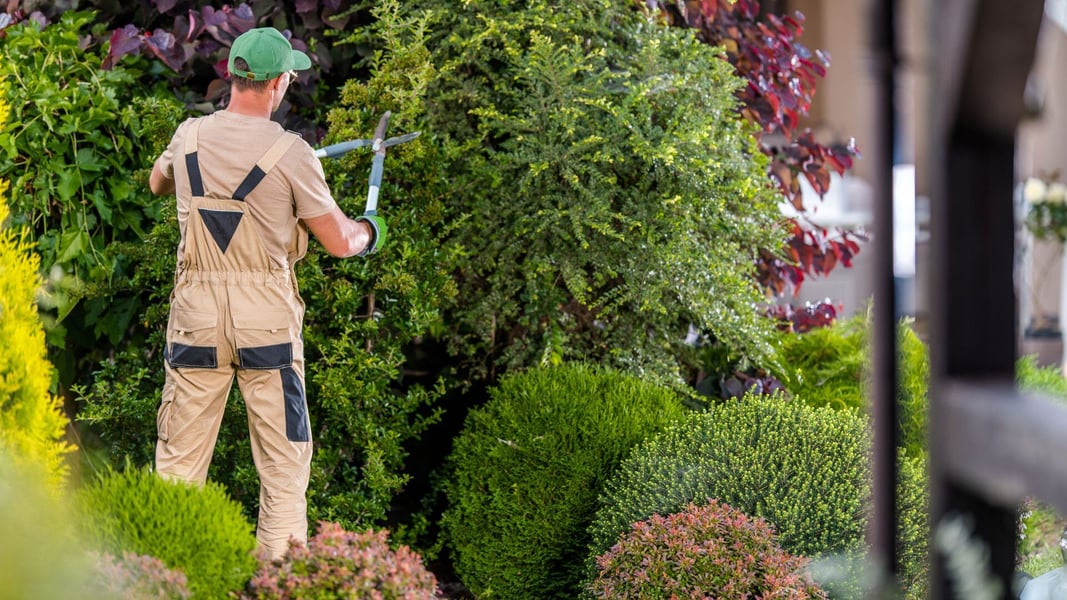 gestione del personale nelle imprese di giardinaggio